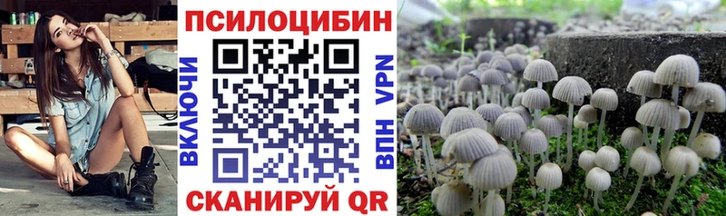Купить  Беслан  Псилоцибиновые грибы Psilocybe 